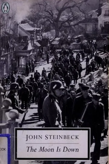 Ay Battı kitap kapağı