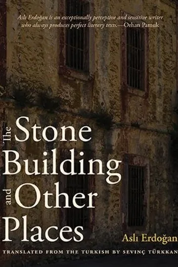 Taş Bina ve Diğerleri kitap kapağı
