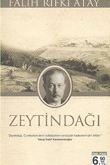 Zeytindağı kitap kapağı