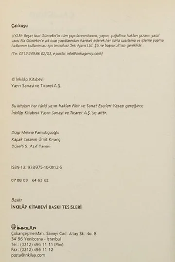 Çalıkuşu kitap kapağı
